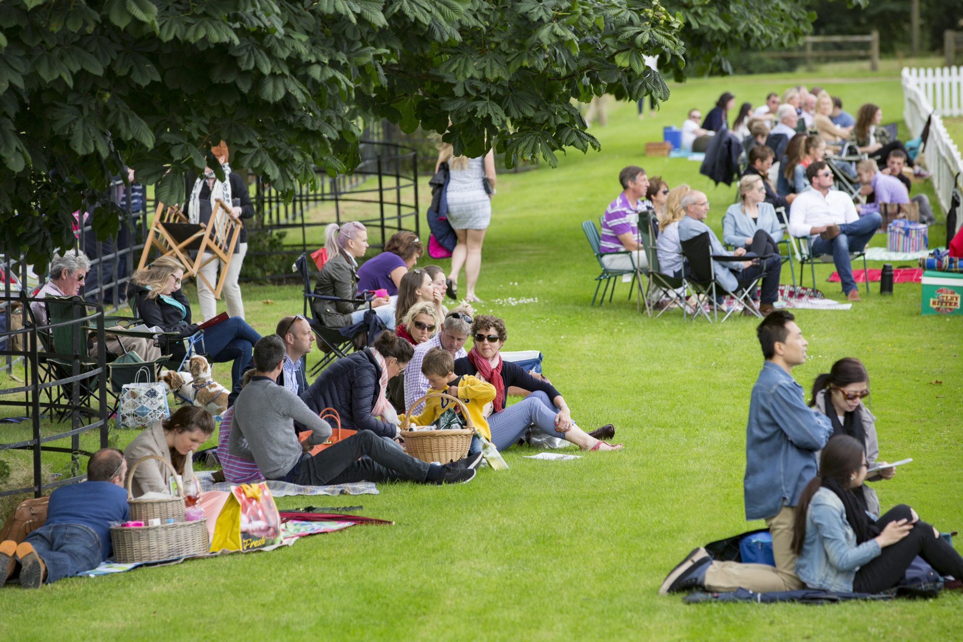 Picnics for events at Dallas Burston Polo Club, people enjoying a picnic