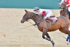 What Is Equestrian Polo - Player going for the ball