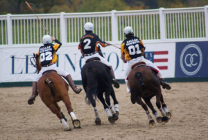 A Polo Pony needs to be brave at high speed