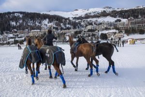 polo players during winter