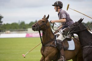 dressage schooling polo ponies the debate