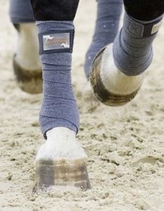 Close up of horse legs with polo wraps on