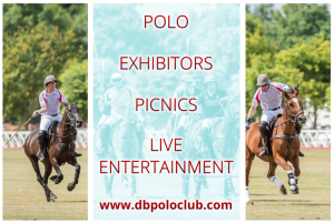 Polo in the park 2018 flyer