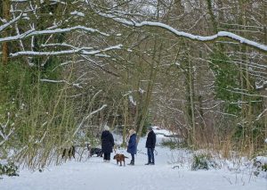 Walks On A Boxing Day