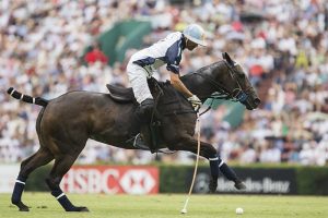 Adolfo Cambiaso - Polo Player in action