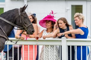 ladies day 2019 - Ladies meeting the horses