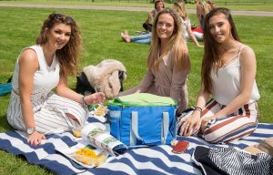 Polo in the park 2019 - ladies having a picnic