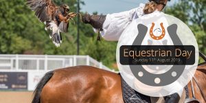 Summer Holiday Ideas Equestrian Day