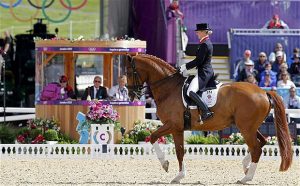 Dressage horse in action with judges