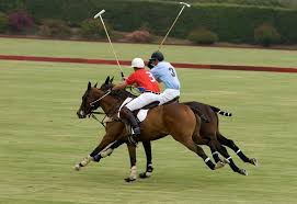 Polo Guide - Riding Off